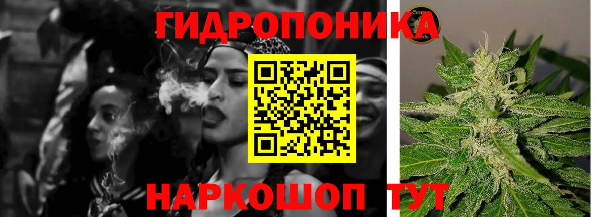 Шишки марихуана семена Тара
